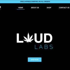 loudlabs