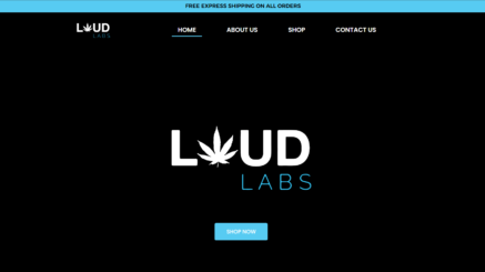 loudlabs