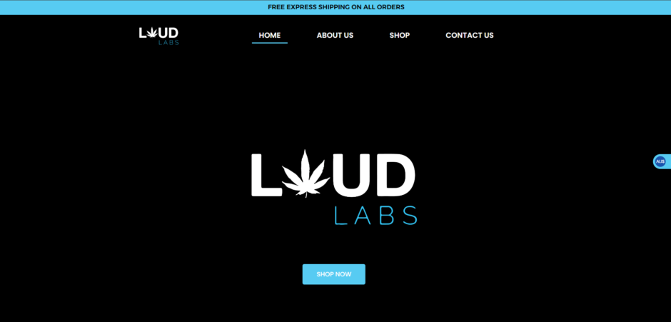 loudlabs